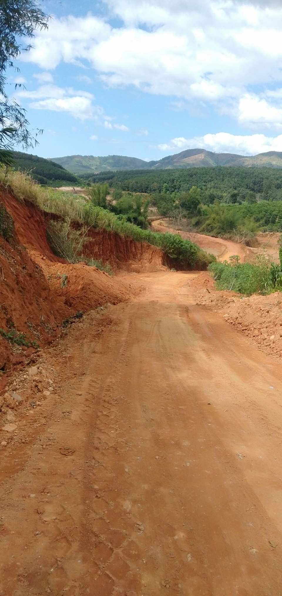 Nhanh chóng hỗ trợ người dân khôi phục đời sống - 4 Nhanh chóng hỗ trợ người dân khôi phục đời sống - 4