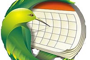 Hàng loạt trình duyệt "đại gia" bị lỗi