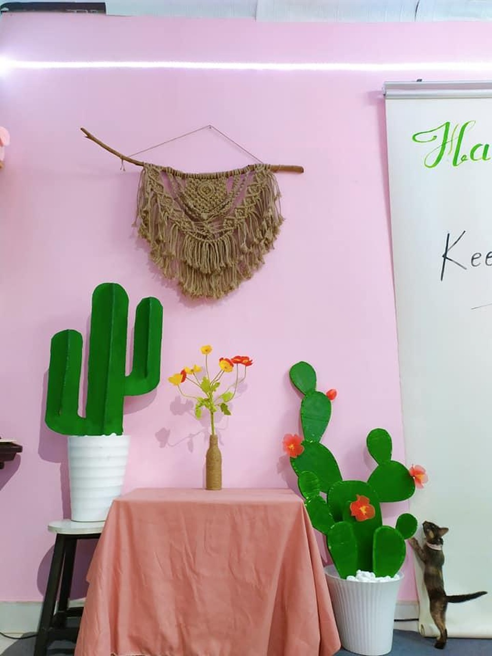 9x đầu tư 6 triệu đồng cải tạo phòng trọ, ai ngờ đẹp như homestay - 6 9x đầu tư 6 triệu đồng cải tạo phòng trọ, ai ngờ đẹp như homestay - 6
