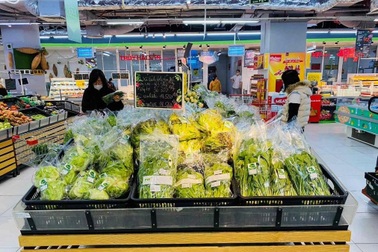 Rau củ quả sạch WinEco ưu đãi tới 40%, chỉ có tại WinMart, WinMart+