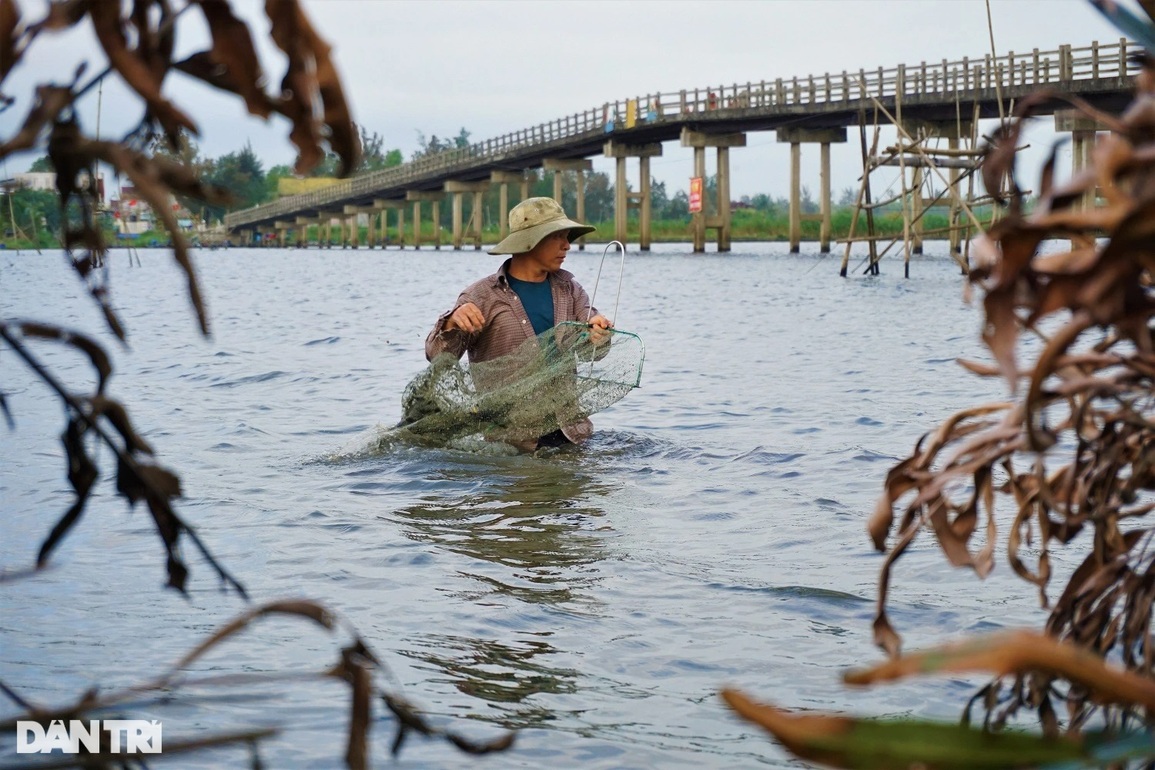 Theo chân những người dầm mình, ngâm nước cào hến ở sông Trường Giang - 4 Theo chân những người dầm mình, ngâm nước cào hến ở sông Trường Giang - 4