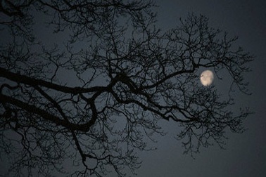 Bữa tiệc tối của Mặt Trời, Mặt Trăng và Gió