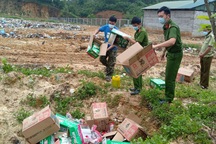 Tiêu hủy gần 3.000 gói chân gà không rõ nguồn gốc đang chuyển về Hà Nội