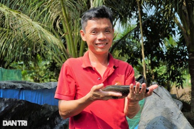 8X nuôi loài cá lạ, bé bằng đầu đũa đã bán hết veo
