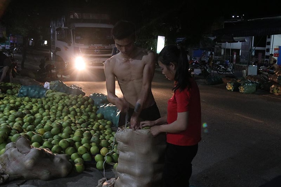Cận cảnh trắng đêm đưa trái đặc sản lên tàu xe kịp phục vụ Tết độc lập - 5 Cận cảnh trắng đêm đưa trái đặc sản lên tàu xe kịp phục vụ Tết độc lập - 5