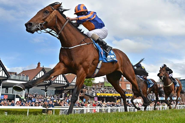 Quy hoạch dự án trường đua ngựa 100ha, vốn hơn 8.200 tỷ đồng ở Thái Nguyên