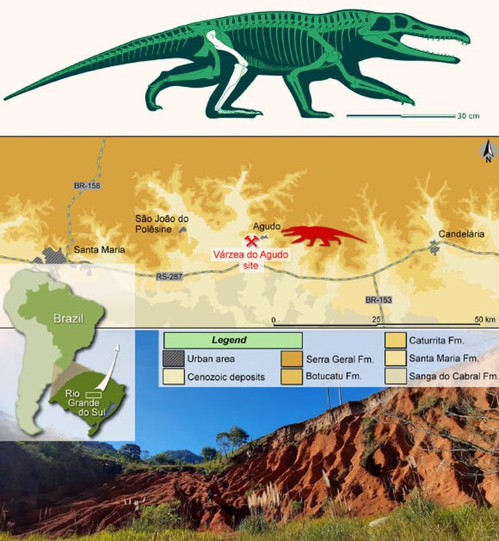 Lộ diện loài quái thú mới: Đầu cá sấu, chân như người, mình khủng long - 1