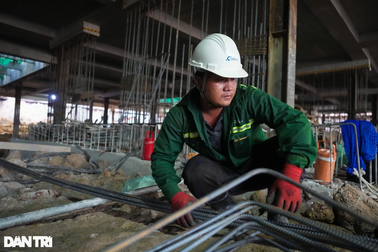 Nhân lực trình độ cao giống lao động phổ thông là... dễ mất việc