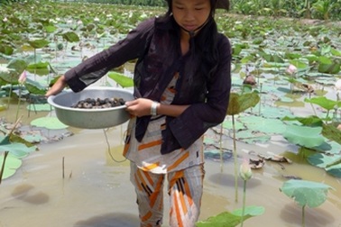 Có áo dài rồi, em vẫn phải bỏ học