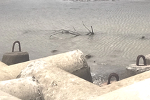 Người đàn ông tử vong khi lặn biển đục hàu