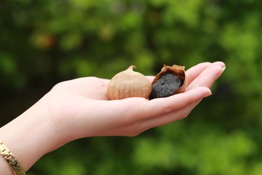 Tỏi đen - Một dược liệu rất quý