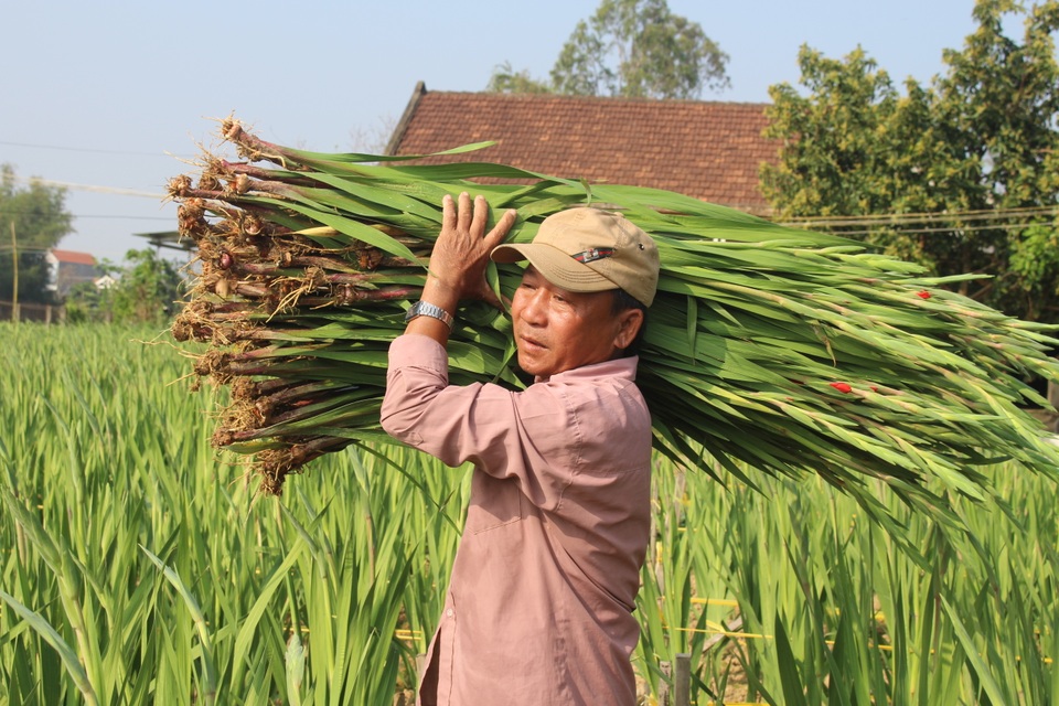 Cho hoa ngủ đông đợi Tết - 3 Cho hoa ngủ đông đợi Tết - 3