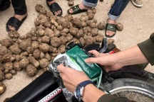 Đang bị truy nã vẫn điều hành đường dây ma túy lớn