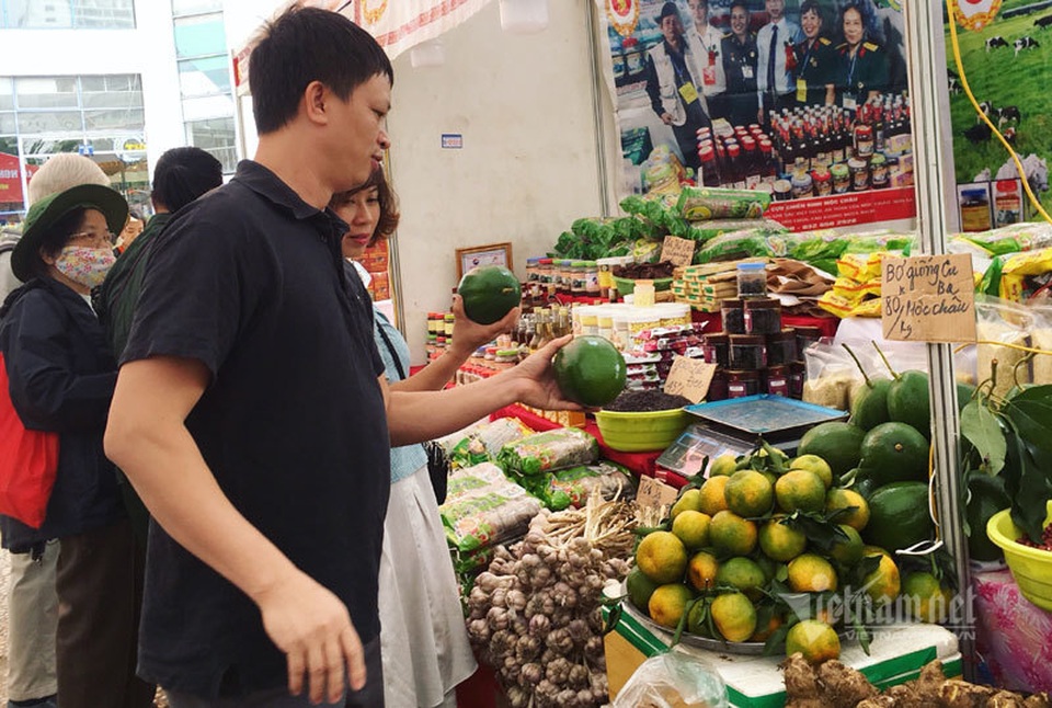 Quả bơ khổng lồ nặng 2 kg, hàng trên núi về gây sốt Hà thành - 10 Quả bơ khổng lồ nặng 2 kg, hàng trên núi về gây sốt Hà thành - 10