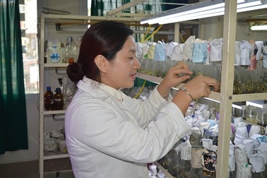 Bộ Khoa học và Công nghệ triển khai tài trợ đợt 2 dự án FIRST