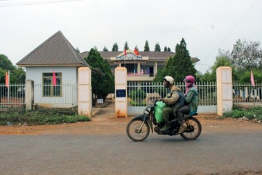 Mắc hàng loạt sai phạm, giám đốc công ty bị cách chức