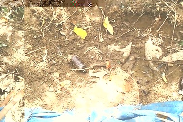 Bạn đọc nêu những câu hỏi khó