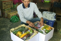 Hộp quà từ rau củ quả Đà Lạt hút hàng dịp Tết