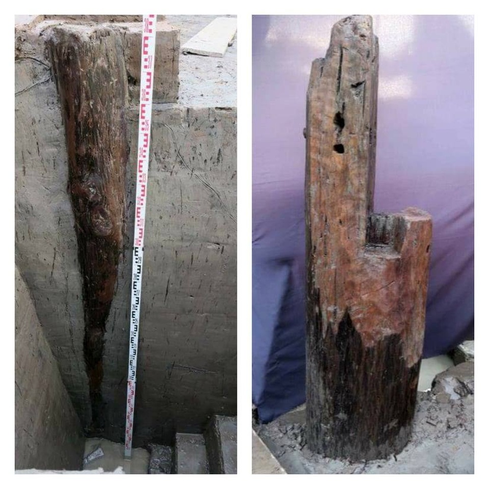 37 cọc gỗ được phát hiện dự đoán là cọc Bạch Đằng thời Trần - 4 37 cọc gỗ được phát hiện dự đoán là cọc Bạch Đằng thời Trần - 4