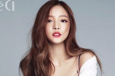 Anh ruột Goo Hara kiện mẹ ruột vì đòi một nửa tài sản thừa kế