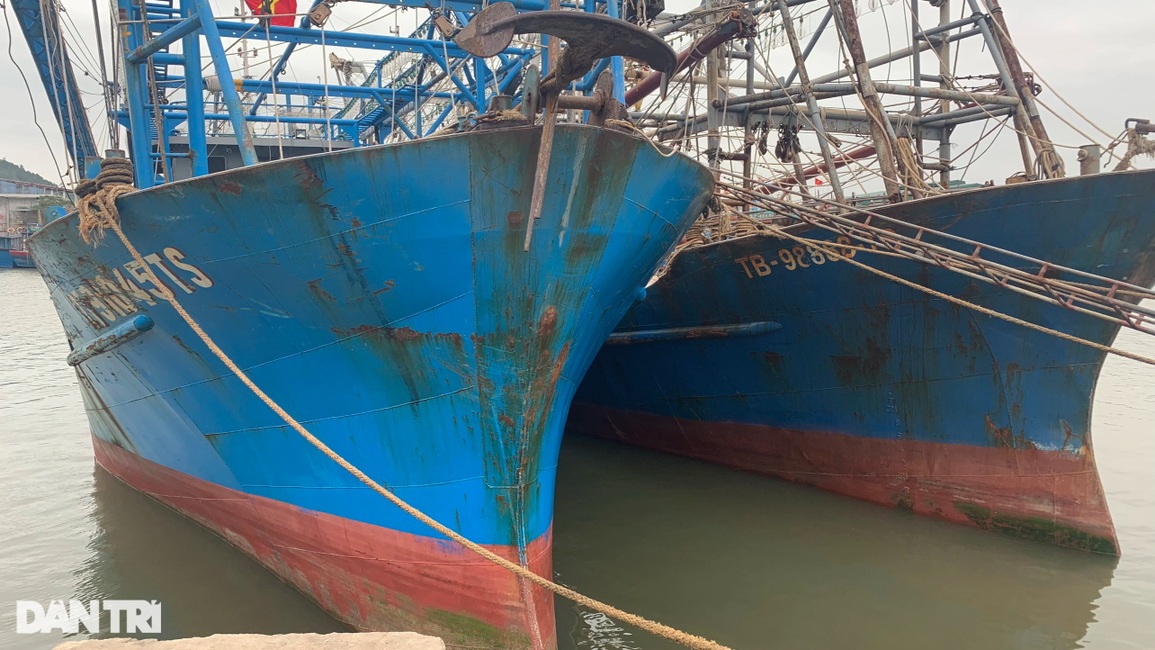 Mang tàu khủng lên mạng xã hội rao bán giữa bão giá nhiên liệu - 1 Mang tàu khủng lên mạng xã hội rao bán giữa bão giá nhiên liệu - 1