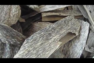 Đầu năm kể chuyện thú “chơi” trầm kỳ của đại gia xứ trầm