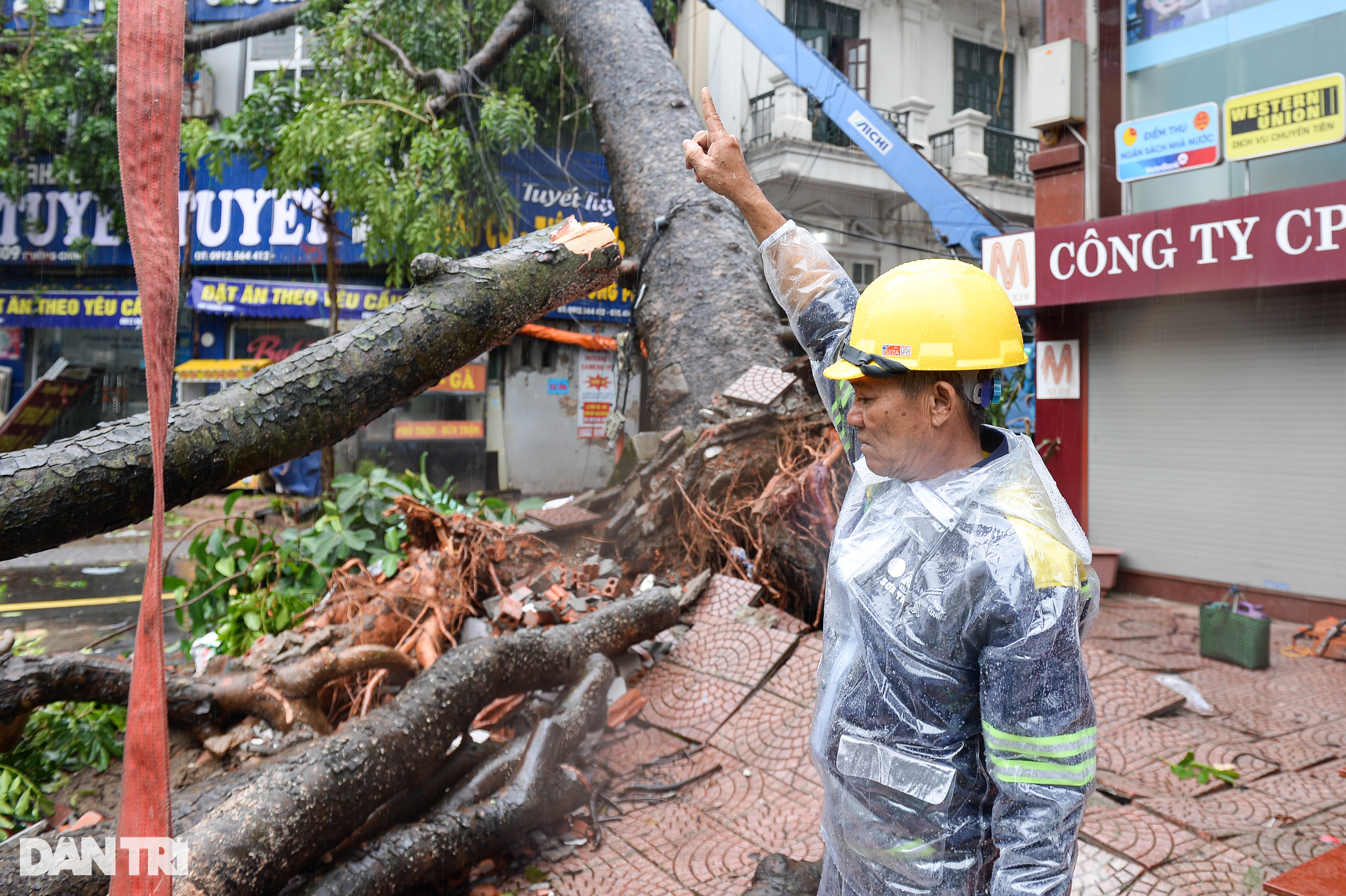 Lực lượng tinh nhuệ TPHCM đội mưa tầm tã dọn dẹp cây xanh tại Hà Nội - 3