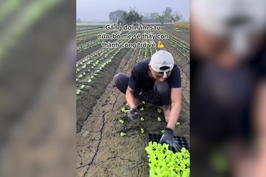 Hơn 8 triệu người xem chàng trai Việt trồng rau nơi xứ người