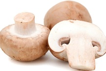 Vì sao nấm mỡ có tác dụng ngăn ngừa ung thư?