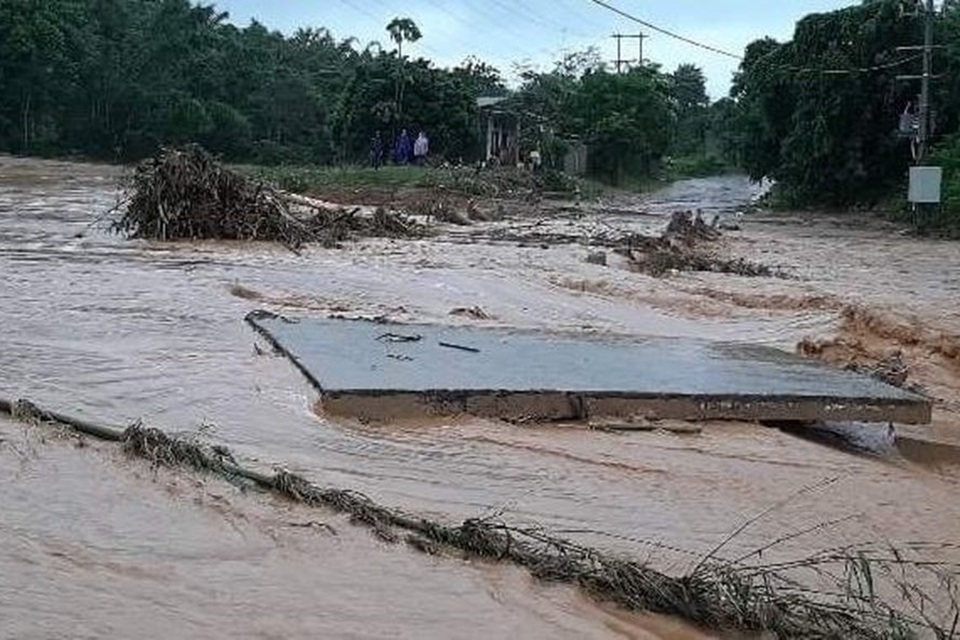 Xoa dịu nỗi đau của người, “băng bó vết thương” của rừng - 1 Xoa dịu nỗi đau của người, “băng bó vết thương” của rừng - 1