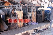 9X kiếm tiền tỷ từ thứ cả làng vứt đi