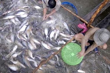 Loay hoay xác định “ngành công nghiệp mũi nhọn”