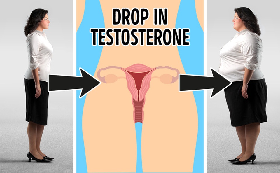 9 hormone liên quan đến vấn đề cân nặng và cách phòng tránh - 4 9 hormone liên quan đến vấn đề cân nặng và cách phòng tránh - 4