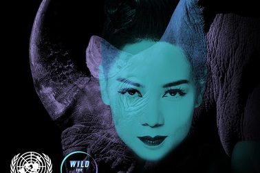 Thực hư việc Thu Minh được chọn là ngôi sao quốc tế tham gia Wild for life