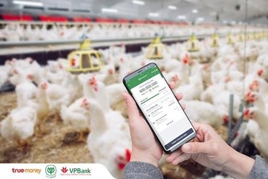 Hàng nghìn đại lý của C.P. Việt Nam tiếp cận nguồn vốn kinh doanh trên nền tảng số từ TrueMoney và VPBank