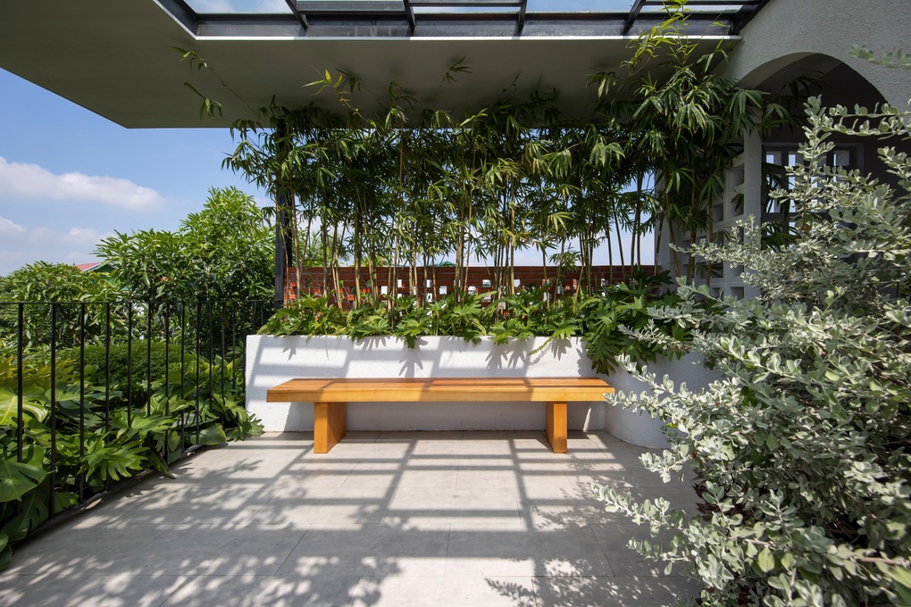 Nhà ống hướng Tây luôn mát mẻ nhờ khoảng lùi bằng thảm cây xanh - 9 Nhà ống hướng Tây luôn mát mẻ nhờ khoảng lùi bằng thảm cây xanh - 9