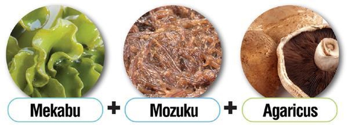 Fucoidan Mix AG hỗ trợ tăng cường sức đề kháng mùa dịch - 1 Fucoidan Mix AG hỗ trợ tăng cường sức đề kháng mùa dịch - 1