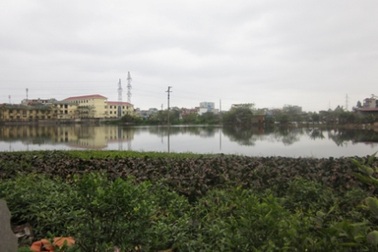 Lình xình vụ đấu thầu Cải tạo hồ Hạ Đình, Đầm Chuối