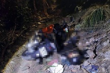 Nam thanh niên tử vong bên đường mòn, trên cổ có vết thương