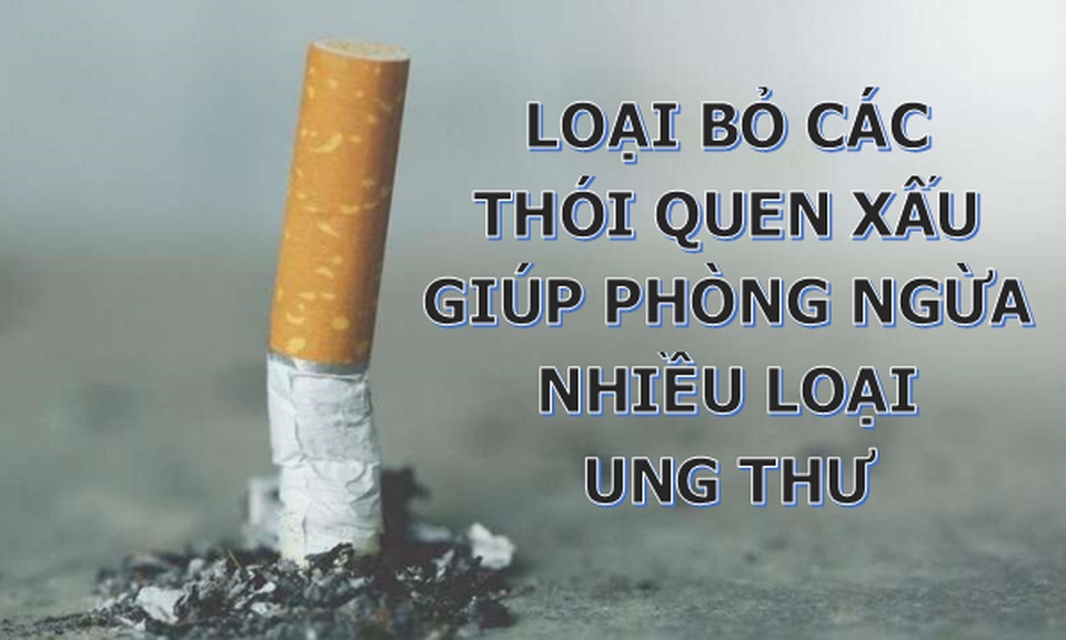 Chỉ cần sống lành mạnh bạn đã có thể phòng ngừa hơn 20 loại ung thư - 2 Chỉ cần sống lành mạnh bạn đã có thể phòng ngừa hơn 20 loại ung thư - 2
