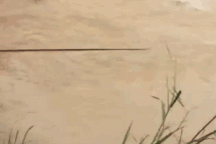 Thanh niên bị lũ cuốn trôi, mắc kẹt giữa sông suốt 9 ngày