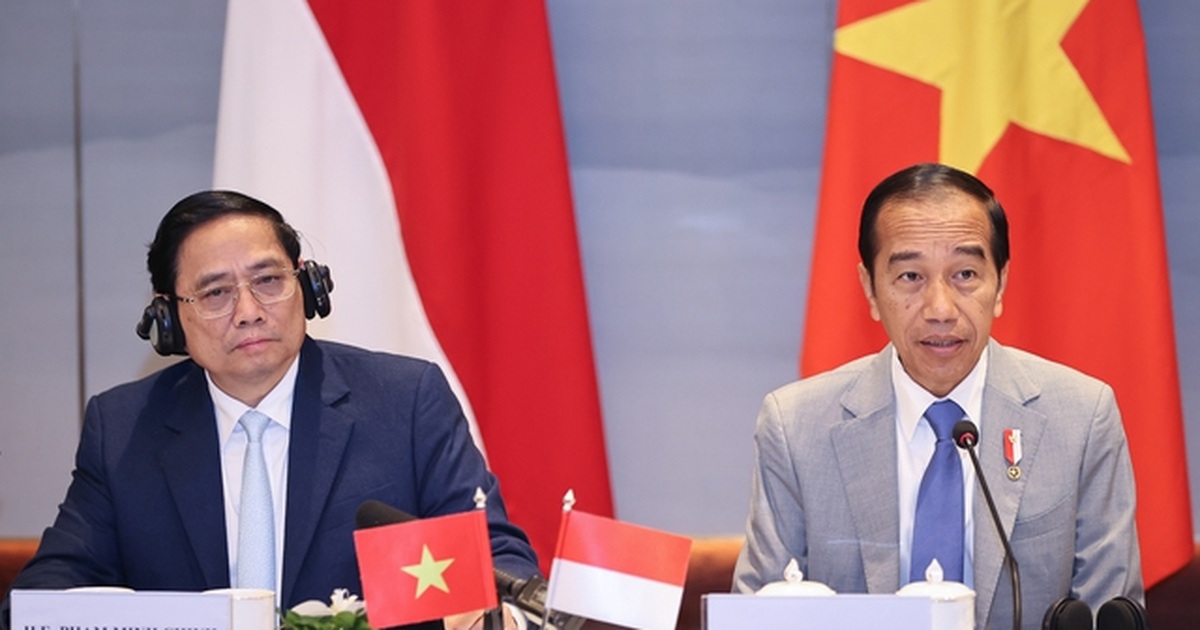 Doanh nghiệp Việt Nam - Indonesia quyết tâm đẩy mạnh hợp tác, đầu tư | Báo  Dân trí