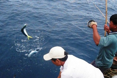 Một ngày làm "cần thủ" trên biển Côn Đảo