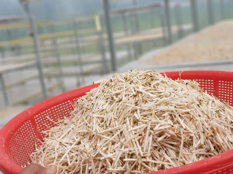 Đặc sản lạ Sóc Trăng: Loại trà không làm từ cây chè, giá 1 triệu đồng/kg - 3 Đặc sản lạ Sóc Trăng: Loại trà không làm từ cây chè, giá 1 triệu đồng/kg - 3