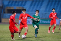 Thể Công Viettel thua CLB Hàn Quốc trong ngày HLV Park dự khán