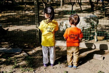 Chỉ với nguyên tắc đơn giản này, bố mẹ nào cũng nuôi con thành tài