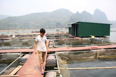 Thu nhập tiền tỷ nhờ nuôi “thủy quái” sông Đà