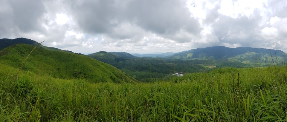 Khởi tố, bắt tạm giam chủ tịch doanh nghiệp phá rừng… để trồng rừng - 2 Khởi tố, bắt tạm giam chủ tịch doanh nghiệp phá rừng… để trồng rừng - 2