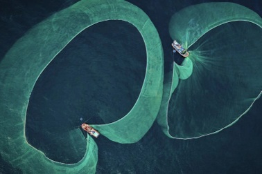 Bức ảnh đánh bắt cá cơm ở Việt Nam đạt giải thưởng quốc tế