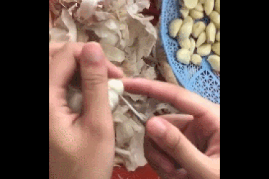 Clip cách bóc tỏi cực nhanh và đơn giản không ngờ, thu hút hàng chục triệu lượt xem